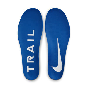 Nike Pegasus Trail 5 GORE-TEX SP "Team Gold"