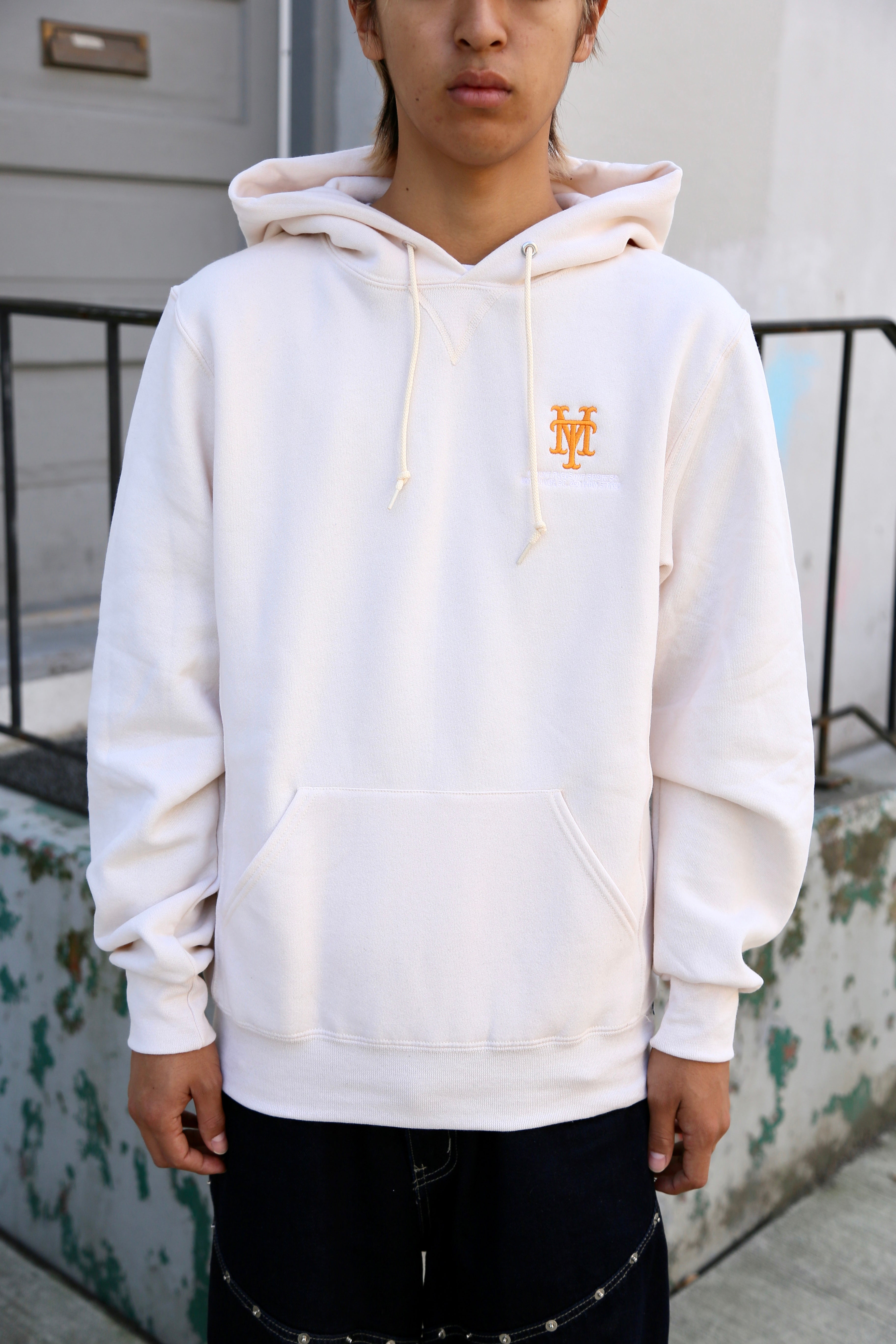 Skytrain Series Hoodie Cream