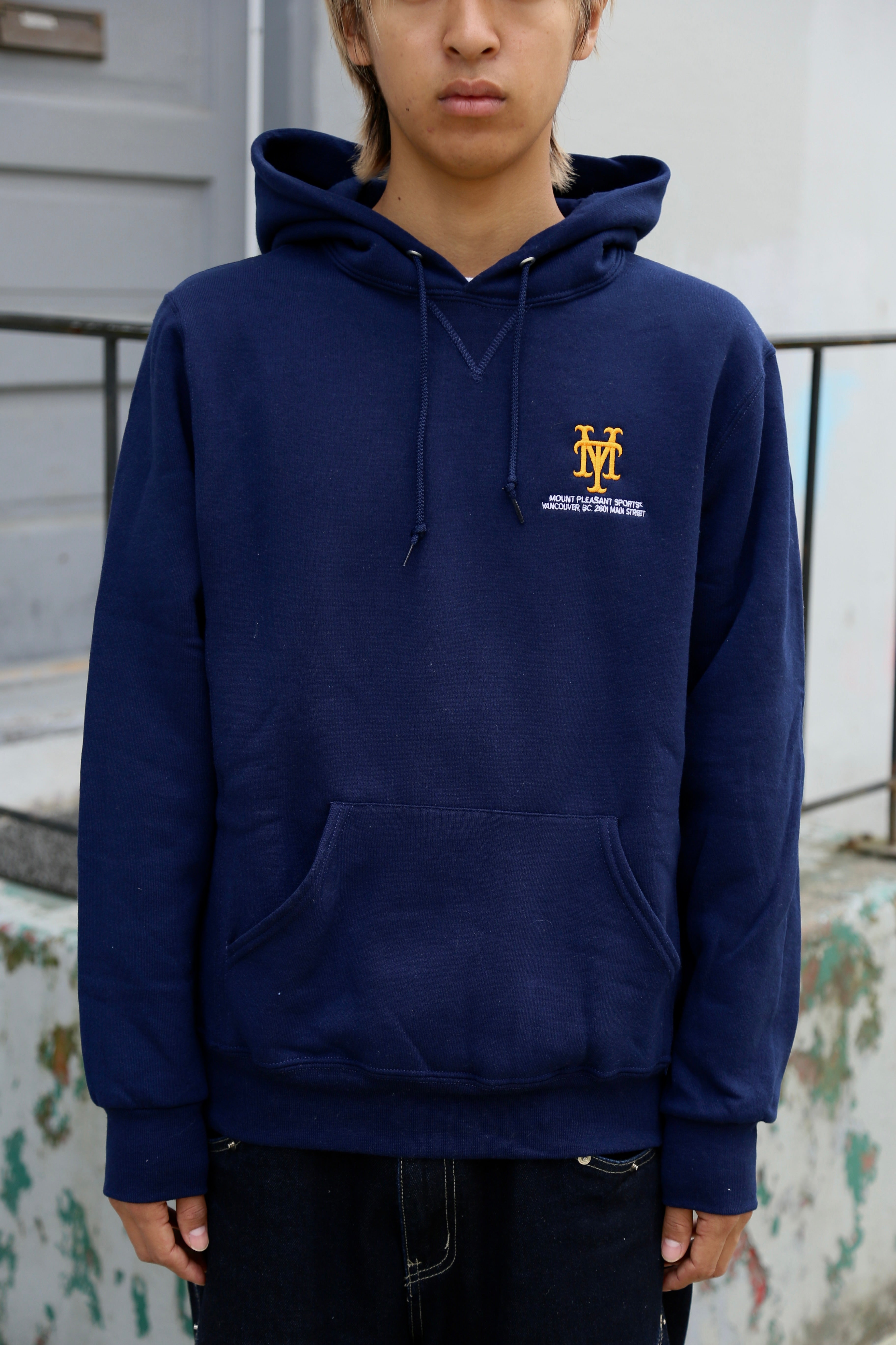 Skytrain Series Hoodie Navy