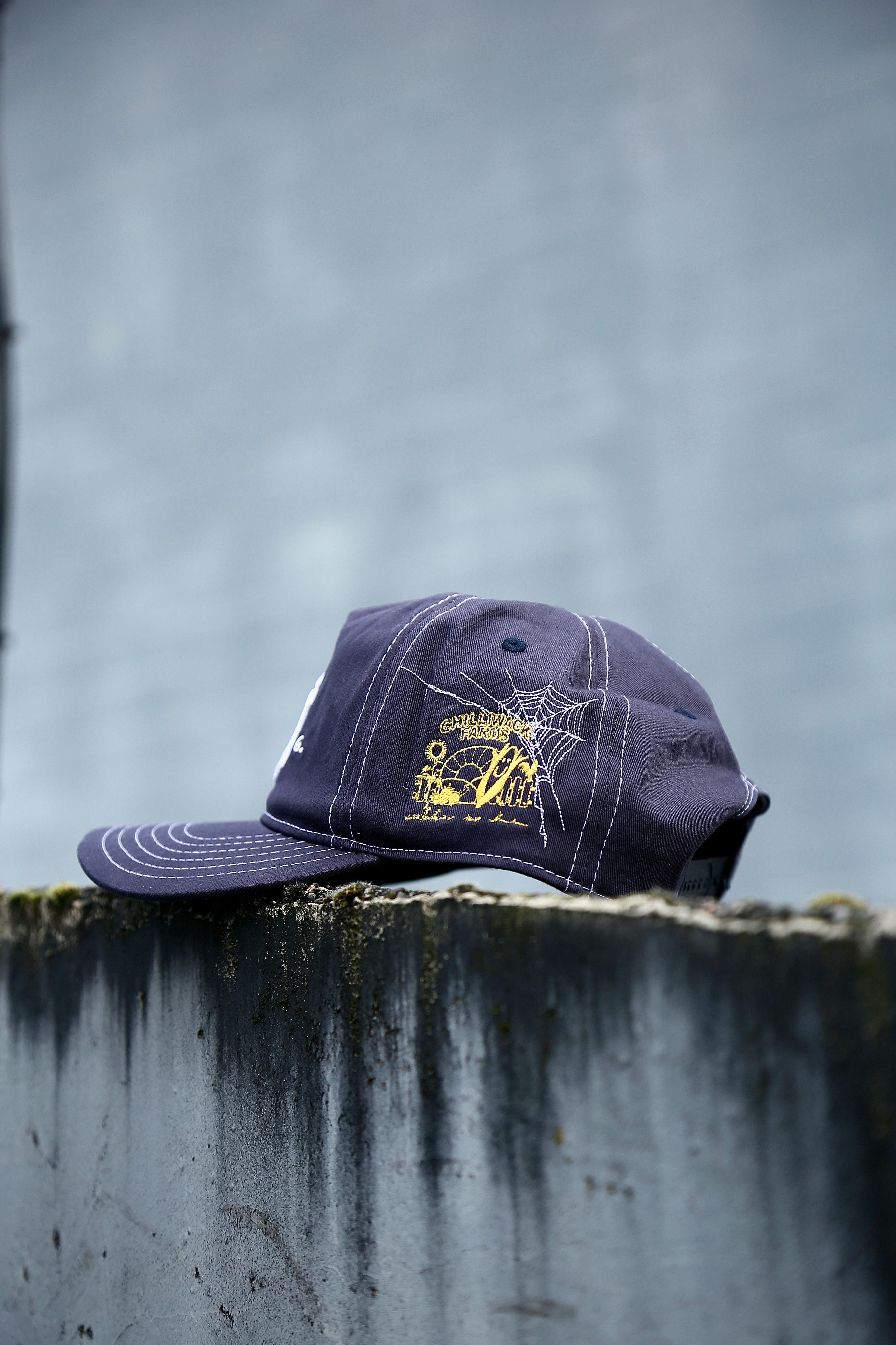 Something NY Cap Contrast Navy Cotton